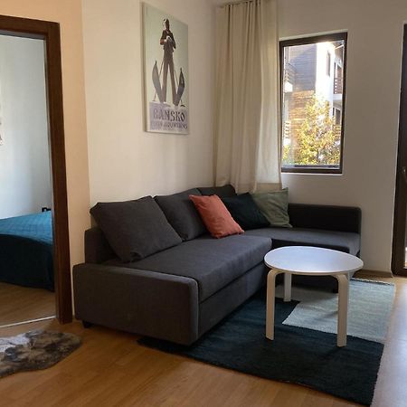2 Bedroom Apartment Next To Gondola Ski Lift Bansko Eksteriør bilde